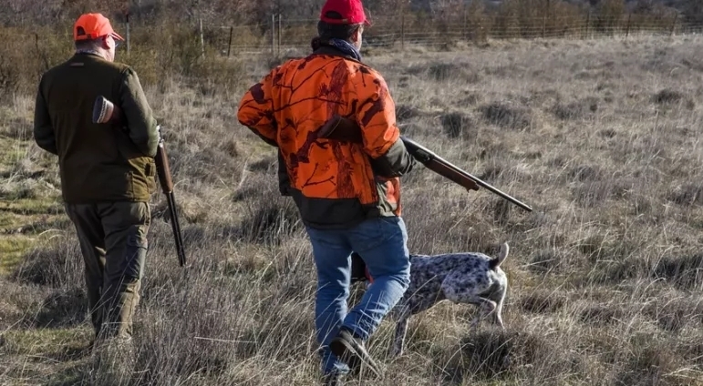 华人纺织厂暴发感染:已有10人隔离!禽流感警报又被拉响!缆车事故监控曝光! ...
