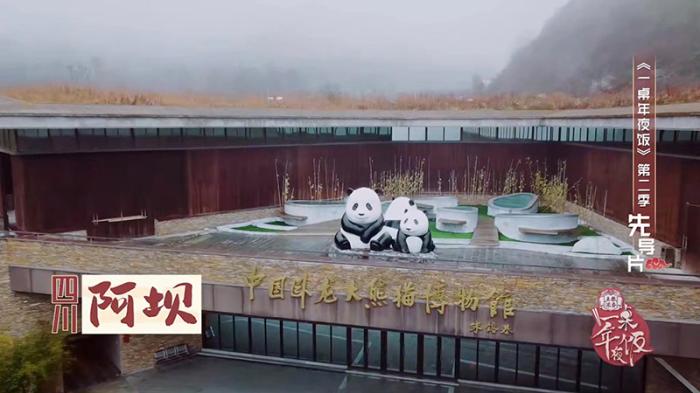 节目组供图 article_img