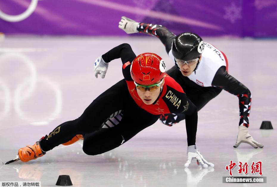 任子威在平昌冬奥会比赛中。