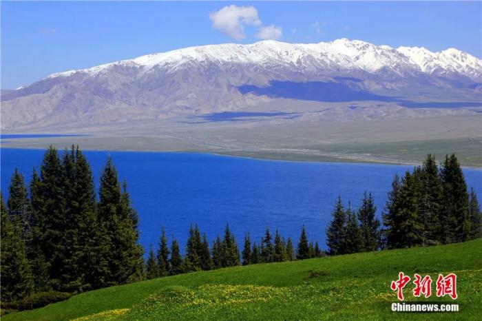 2016年5月的新疆赛里木湖，湖水与山花、绿草、雪山、松林相映。新疆赛里木湖位于天山山脉，是新疆海拔最高、面积最大的高山湖泊。<a target='_blank' href='/'>中新社</a>发 汪铁锁 摄