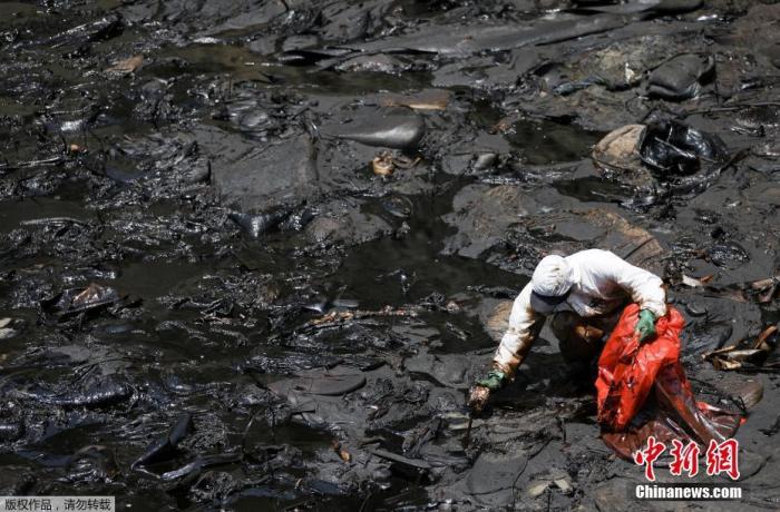 当地时间1月18日，秘鲁Ventanilla，工作人员将油污收进袋中。