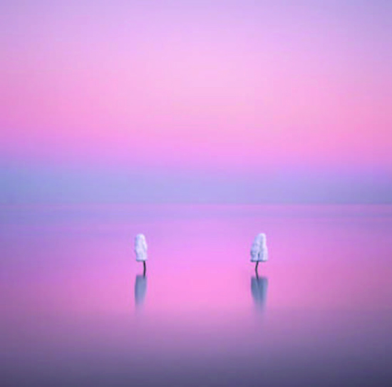 article_img