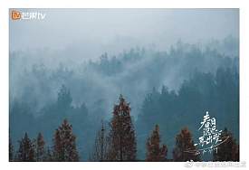 cover_17