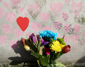 cover_19