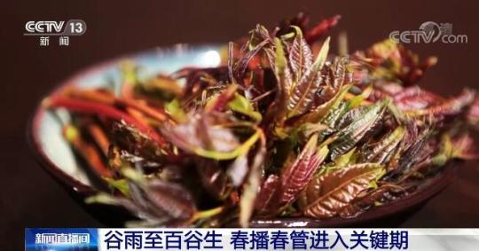 谷雨至百谷生 万物生长蒸蒸日上 我国春播春管进入关键期