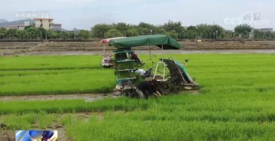 谷雨至百谷生 万物生长蒸蒸日上 我国春播春管进入关键期