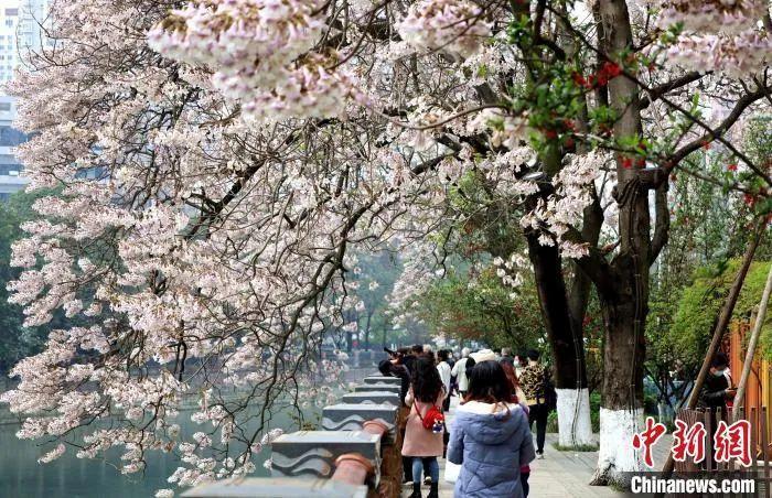 资料图:市民出行。吕杨 摄 article_img