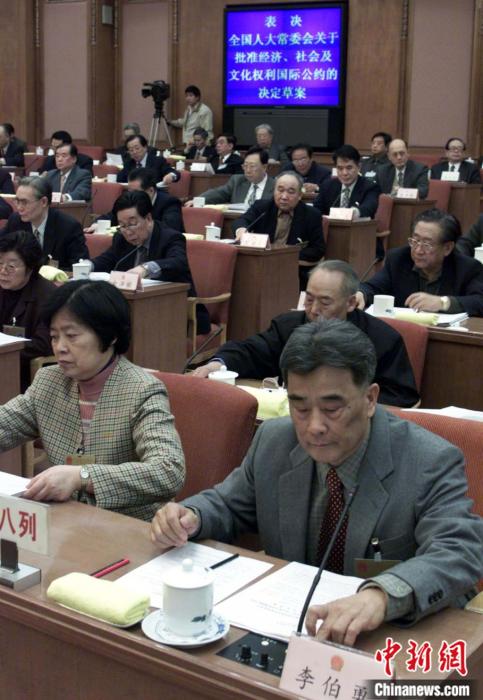 第九届全国人大常委会第二十次会议表决通过“全国人大常委会关于批准经济、社会及文化权利国际公约的决议草案”。<a target='_blank' href='/'>中新社</a>记者 毛建军 摄 article_img