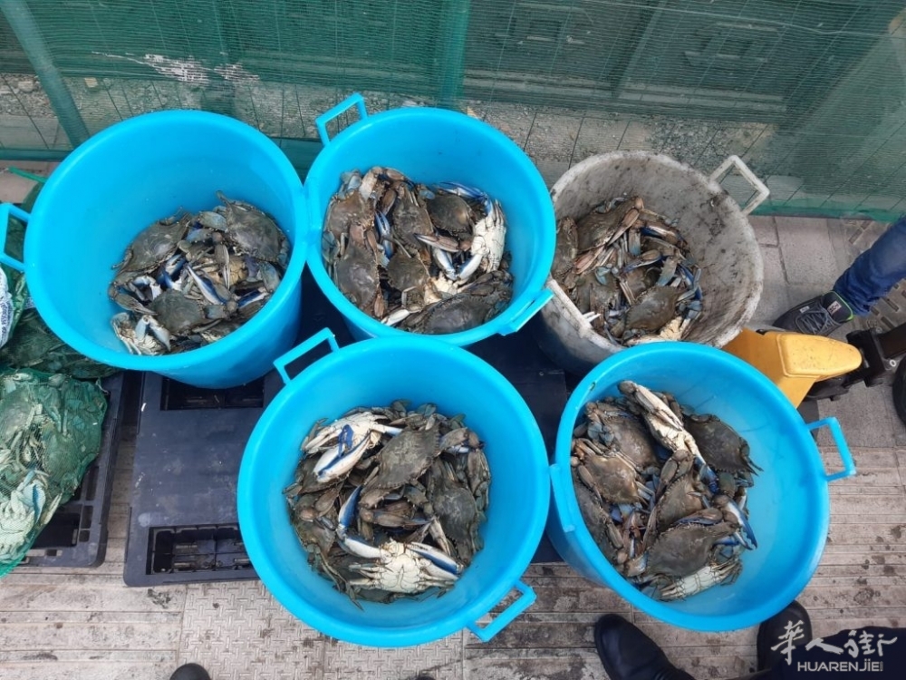 GRANCHI-2-1024x768.jpeg GRANCHI-2-1024x768.jpeg