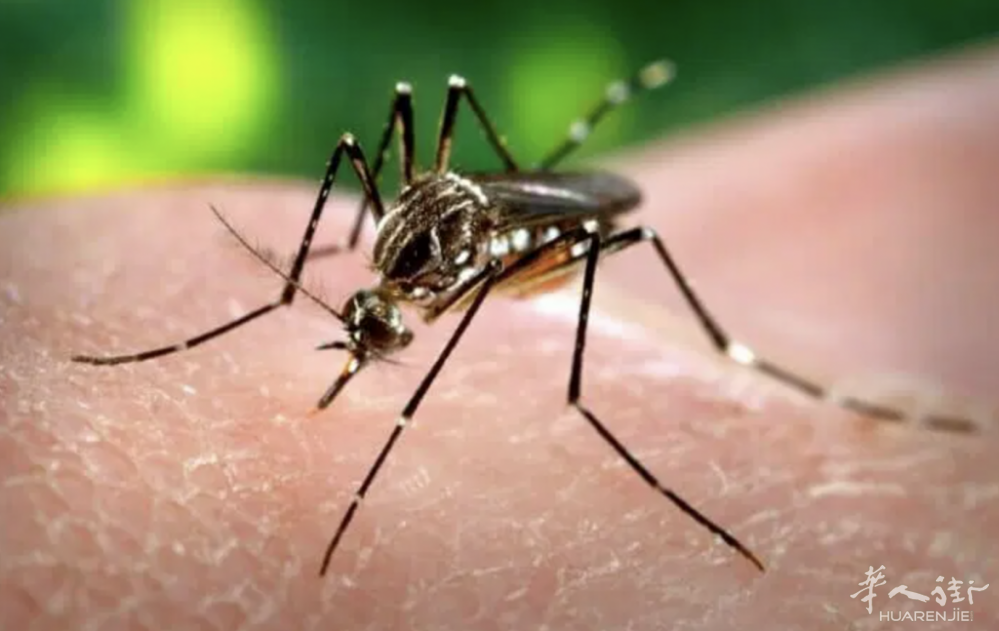 截屏2022-06-19 08.34.11.png