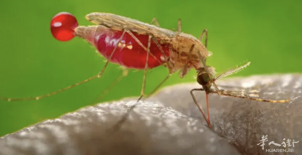 截屏2022-06-19 08.34.47.png