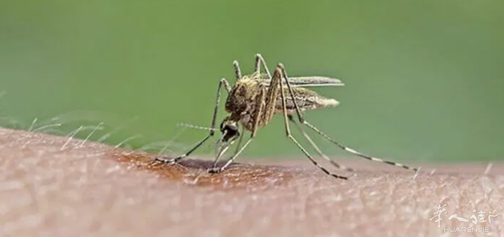 截屏2022-06-19 08.34.58.png