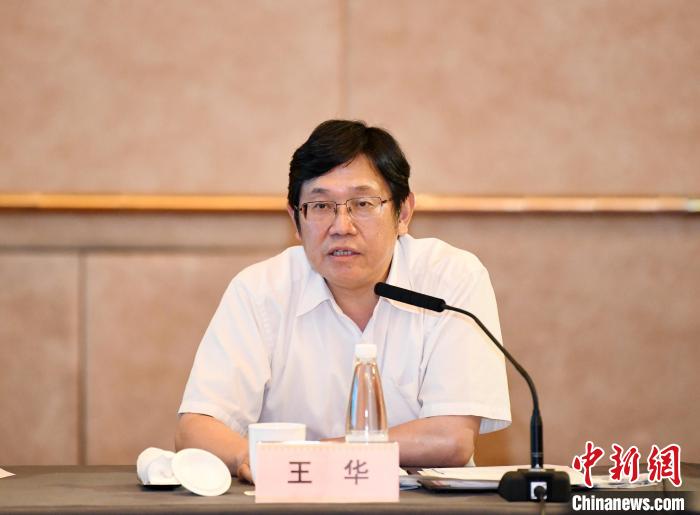 江苏省委统战部副部长、省侨办主任王华讲话。谭鑫 摄 article_img