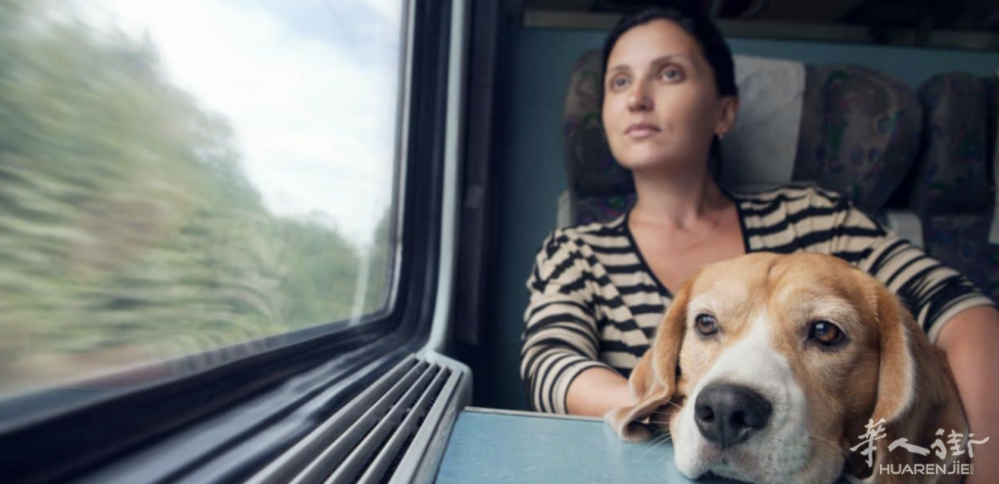 截屏2022-06-24 15.44.01.png