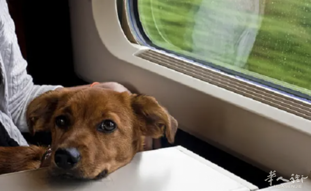 截屏2022-06-24 15.53.33.png