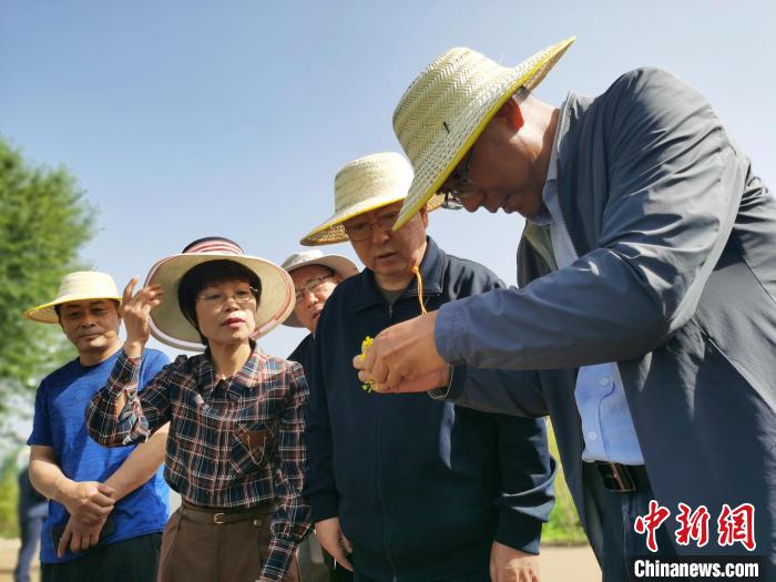 图为青海省政协主席公保扎西(右二)调研现场。张添福 摄 article_img