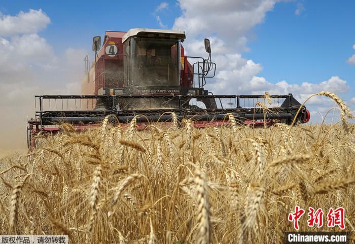 资料图：农民在乌克兰扎波罗热地区收获小麦。