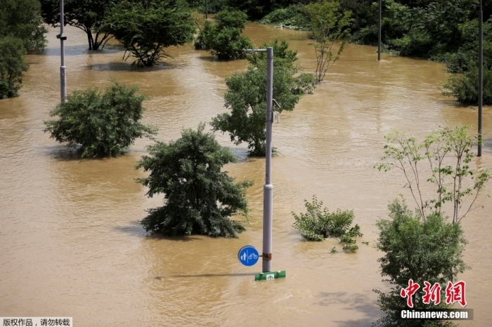 当地时间8月10日，韩国首尔，由于汉江水位上涨，已经封闭的汉江公园几乎“消失”。当地时间8日，韩国首都圈遭遇特大暴雨。截至当地时间10日6时，此次暴雨已经造成9人死亡、7人失踪、17人受伤。