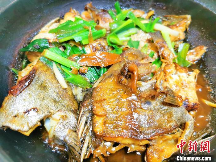 煲仔焗“金鼓”鱼,鱼肉鲜香入味 李晓春 摄 article_img