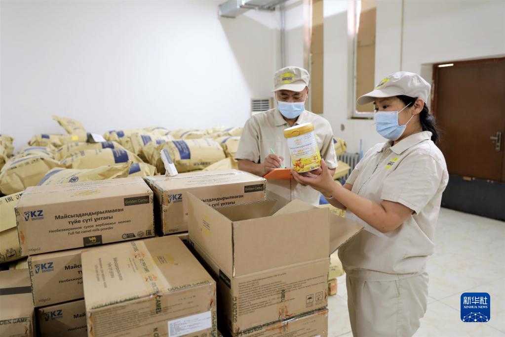 8月13日,在哈萨克斯坦南部城市图尔克斯坦,员工在哈萨克斯坦金骆驼集团有限公司的驼乳粉加工厂工作。新华社发(奥斯帕诺夫摄) article_img