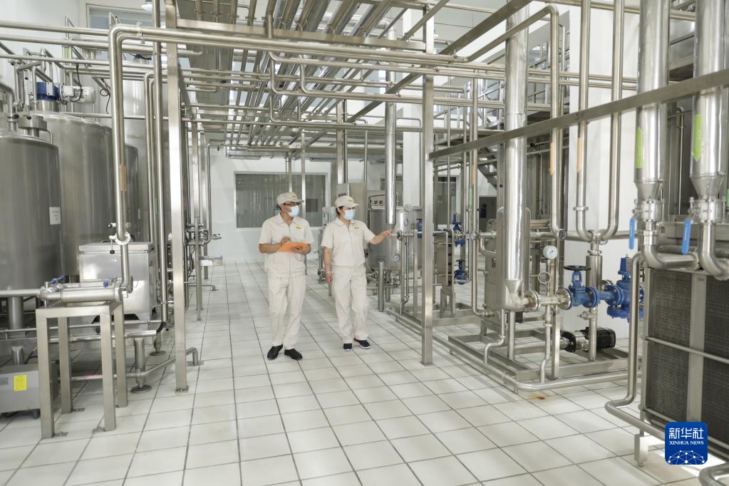 这是8月13日在哈萨克斯坦南部城市图尔克斯坦拍摄的哈萨克斯坦金骆驼集团有限公司的驼乳粉加工厂。新华社发(奥斯帕诺夫摄) article_img