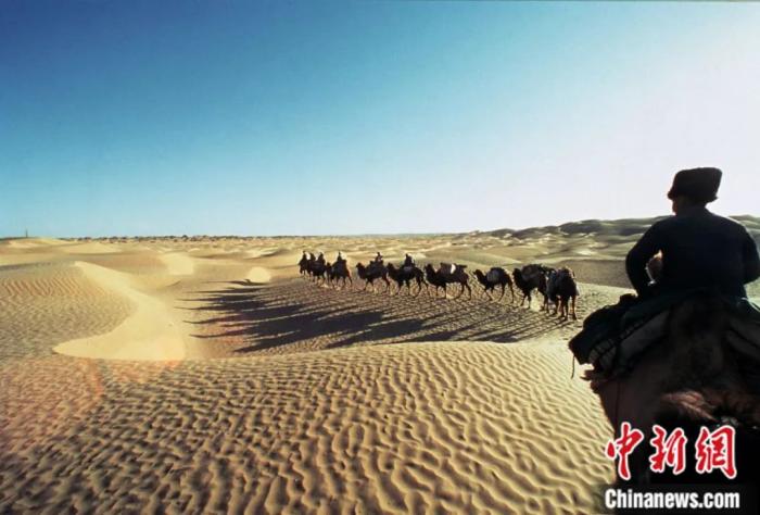 考察队骑骆驼深入大漠深处。受访者供图