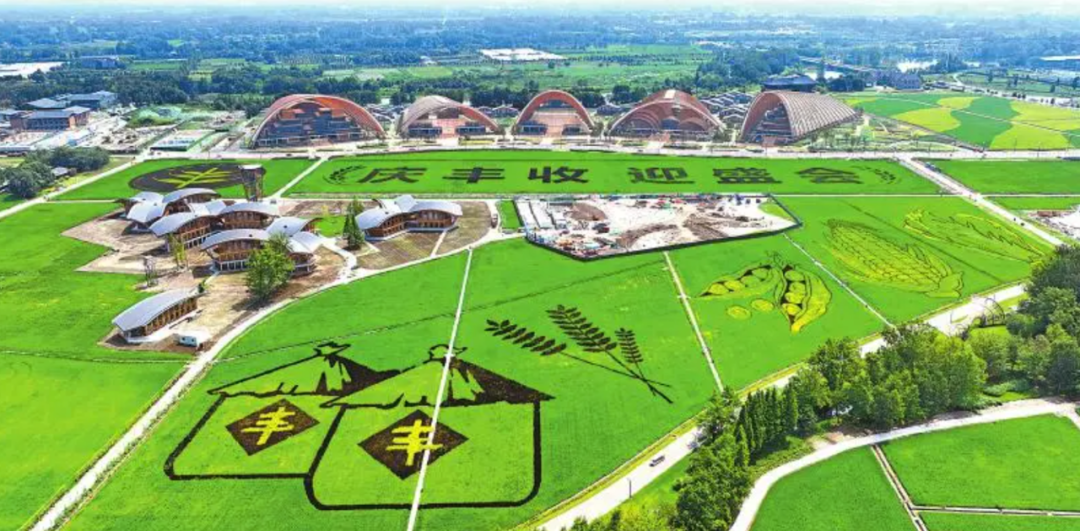 9月23日，2022年中国农民丰收节主会场活动在四川成都的中国天府农业博览园举行。