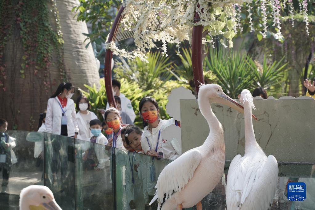 两岸“和平小天使”在厦门灵玲动物王国参观(2021年12月4日摄)。新华社发