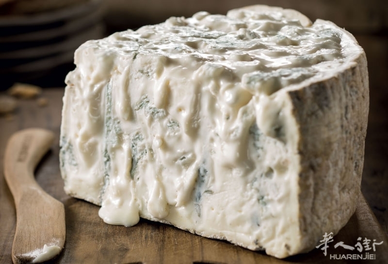 gorgonzola.jpeg