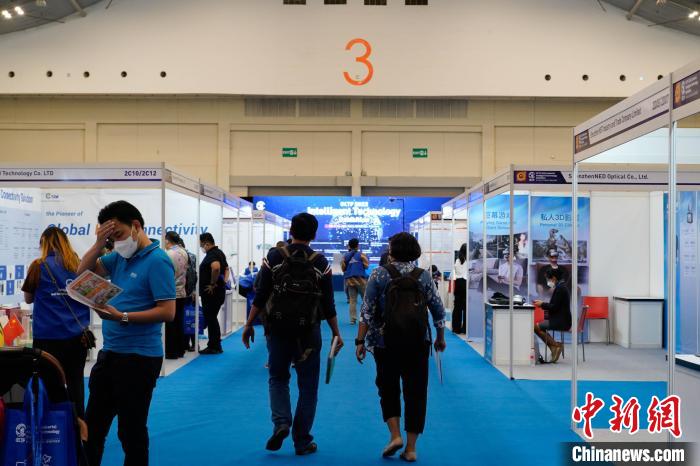 图为展览现场。侨交会组委会 供图 article_img