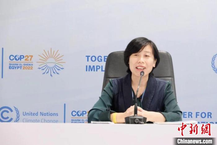 中国国际民间组织合作促进会副理事长兼秘书长王香奕发言 主办方供图 article_img