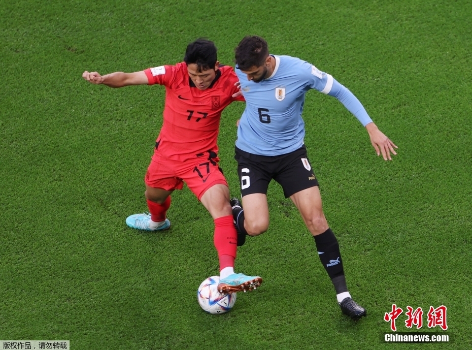 北京时间11月24日，世界杯小组赛H组首轮第一场，乌拉圭队迎战韩国队的比赛正式打响。图为双方球员拼抢皮球。