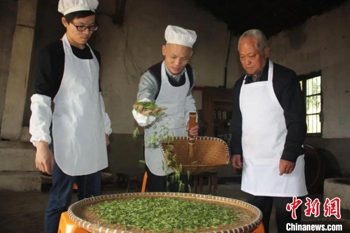 绿茶制作技艺(婺州举岩) 浙江省文化和旅游厅 供图 article_img
