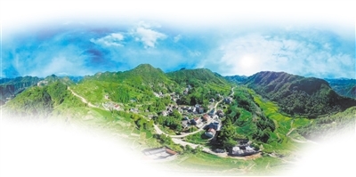 article_img
