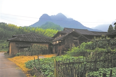 article_img