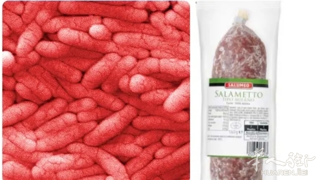 il-batterio-della-salmonella-e-il-salume-ritirato-dal-commercio.webp.jpg