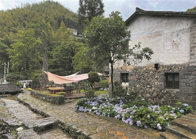 article_img