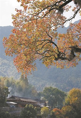 cover_1