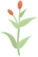 article_img