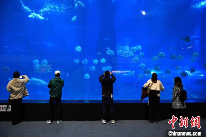 海外华文媒体代表参访马洋溪生态旅游区天柱山欢乐大世界。吕明 摄 article_img
