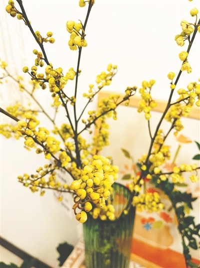 article_img