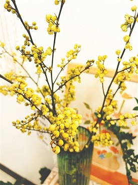 cover_6