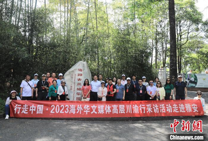 “行走中国·2023海外华文媒体高层川渝行”参访团走进中国大熊猫保护研究中心雅安基地。王磊 摄 article_img
