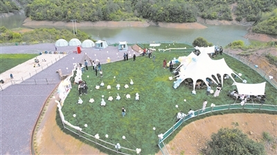 article_img