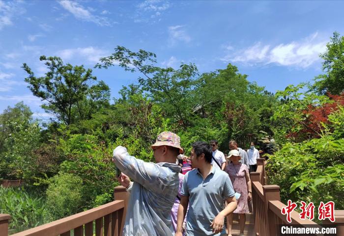在三台山森林公园,大家情不自禁开启“打卡”模式。朱志庚 摄 article_img