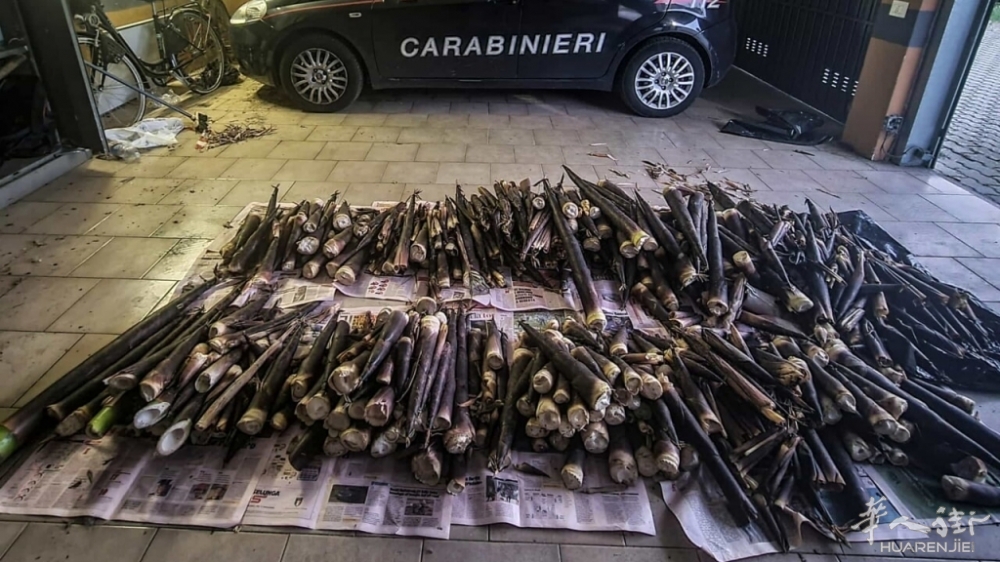 进入私人竹园偷窃竹笋，米兰六名中国人被起诉！ 