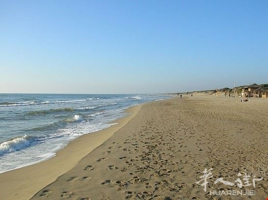 91845_ostia_spiaggia_capocotta.jpeg