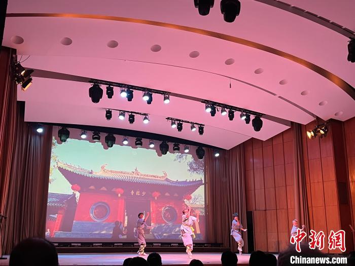 图为晚会上武术表演。<a target='_blank' href='/' >中新网</a>记者 马秀秀 摄 article_img