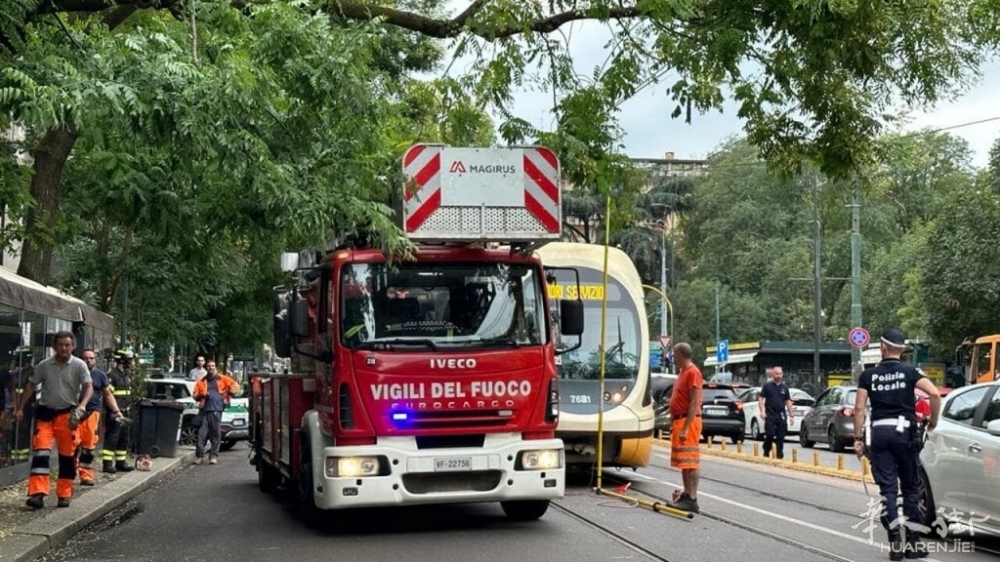 albero tram vigili del fuoco.jpeg