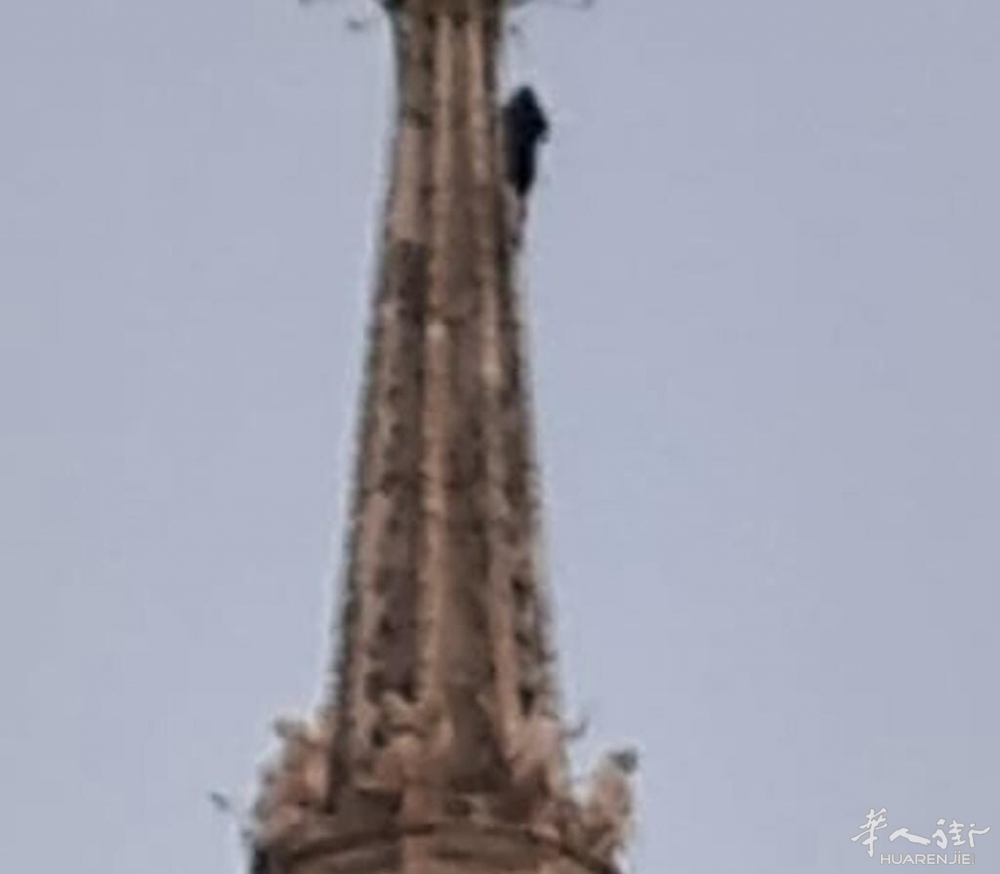 073447447-42b98dc5-d5a3-497a-82ba-2b2971d674b3.jpg 073447447-42b98dc5-d5a3-497a-82ba-2b2971d674b3.jpg